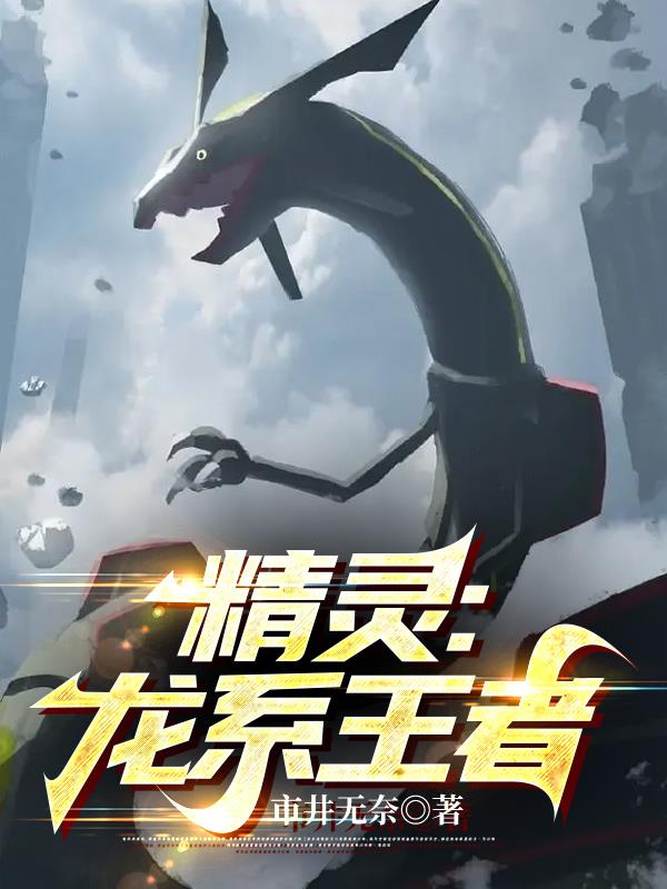 精灵龙模组