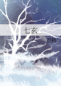七玄神域免费全文阅读txt下载