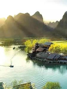 生活生下来就是为了活着