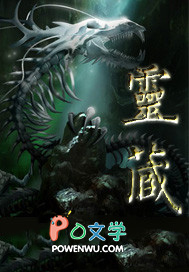 灵藏介绍