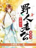 叶清心启叫什么小说