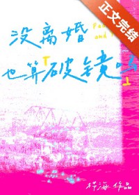 没离婚也算破镜吗