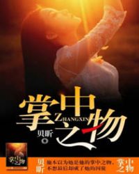 掌中之物电视剧免费观看